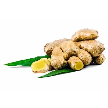 ginger (5)-4071216-20535.webp